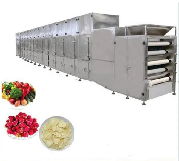 fruit dryer machine3