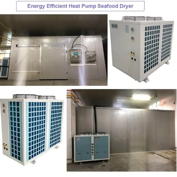 The Heat Pump Dehydration Dryer's Space-Saving Secret