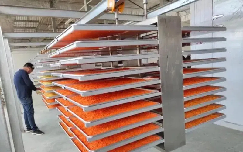 How Freeze Dry Machines Are Changing Australia's Food Industry?