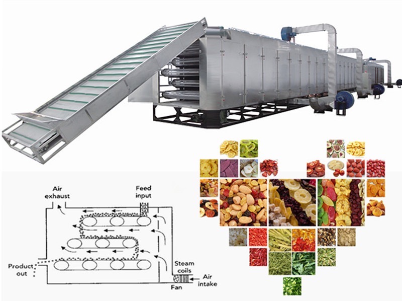 Solar-Powered Fruit Dryer Machine Designs