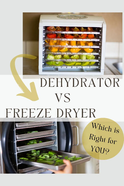 freeze dry food2