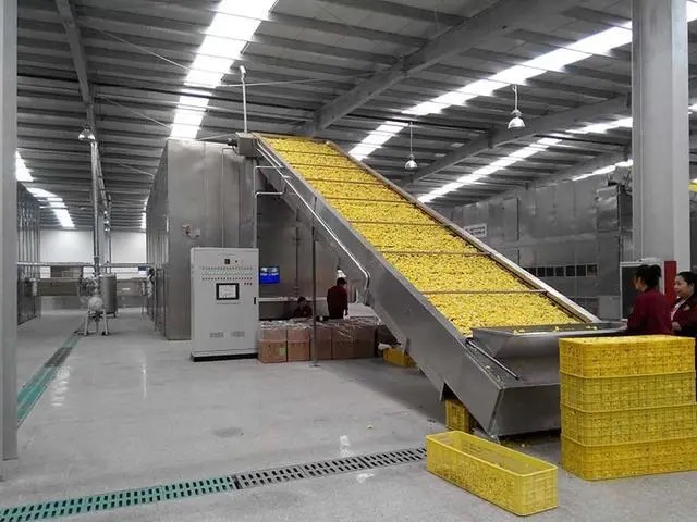 food drying machine manufacturers123