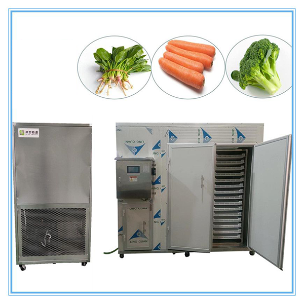 air dry food machine3