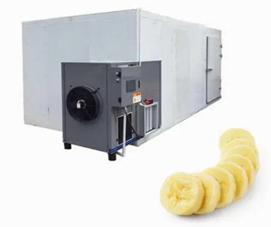What Is The Current Price of A Banana Dehydration Machine in India?