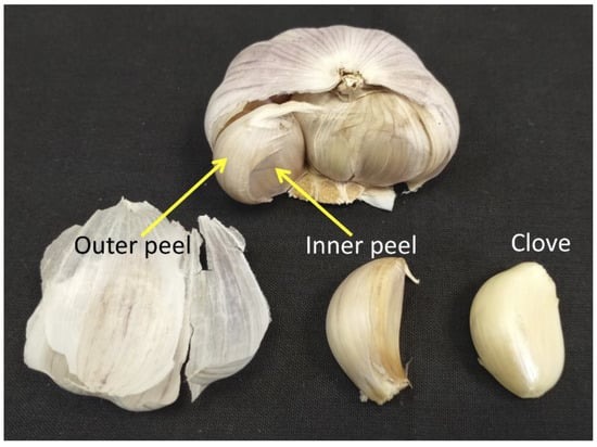 garlic dehydration machine2
