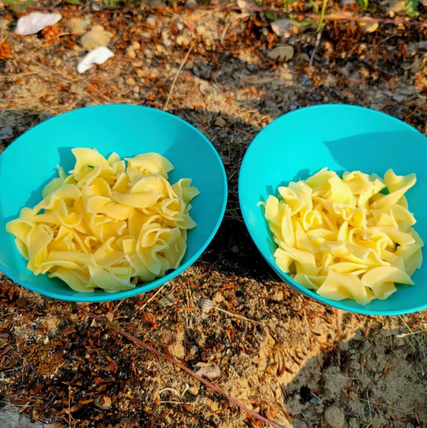 can you dry fresh egg noodles in a dehydrator