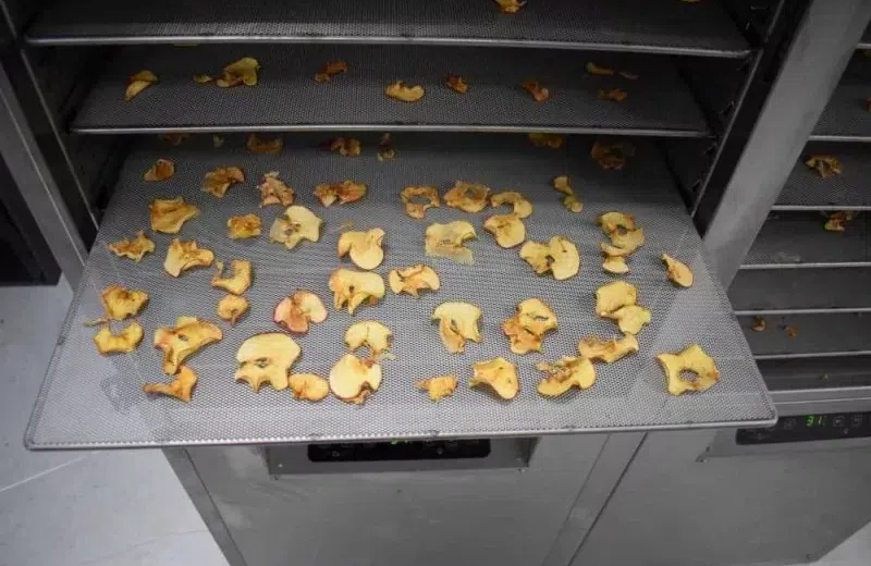 Creating Delicious Dried Snacks with A Cabinet Type Dehydrator