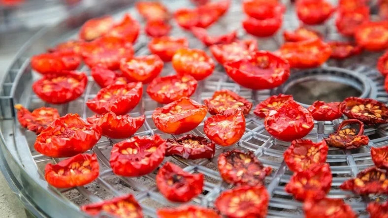 Troubleshooting Common Issues with Your Cabinet Type Dehydrator