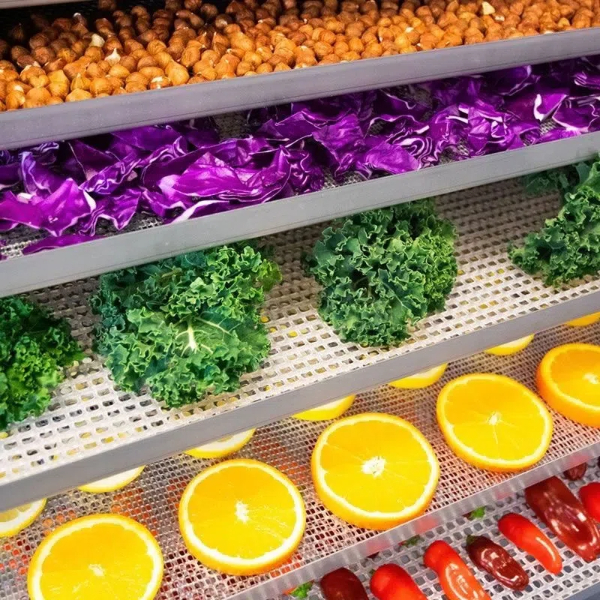 What You Need To Know About Operating A Cabinet Type Dehydrator?