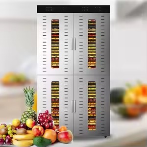 The Future of Food Preservation: Innovations in Cabinet Type Dehydrators