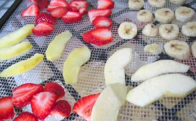 how to use a nesco food dehydrator1