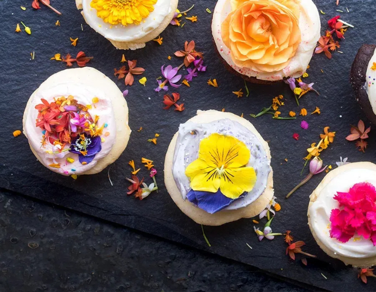 How To Dry Flowers in A Food Dehydrator?