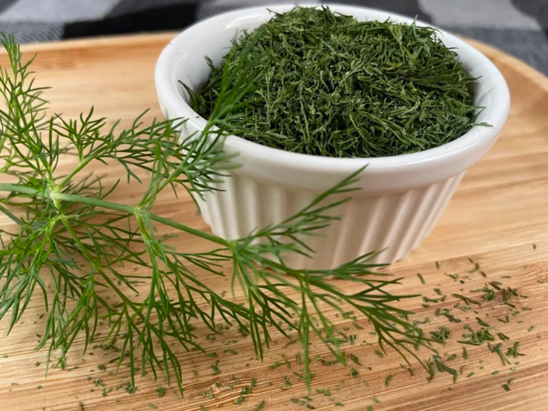 how to dry dill in a food dehydrator2