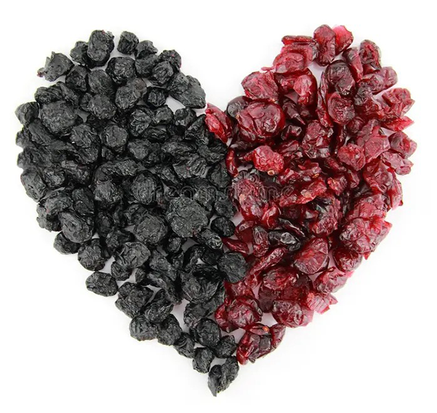 how to dry blueberries in a food dehydrator2