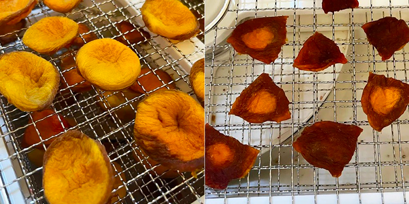 how to dehydrate apricots in a food dehydrator1