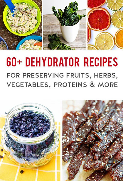 what can be dehydrated in food dehydrator1