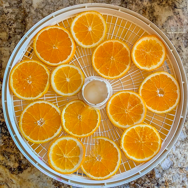 can you dehydrate oranges in food dehydrator1
