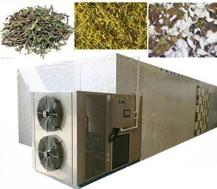 what-is-the-best-food-dehydrator-for-the-money1