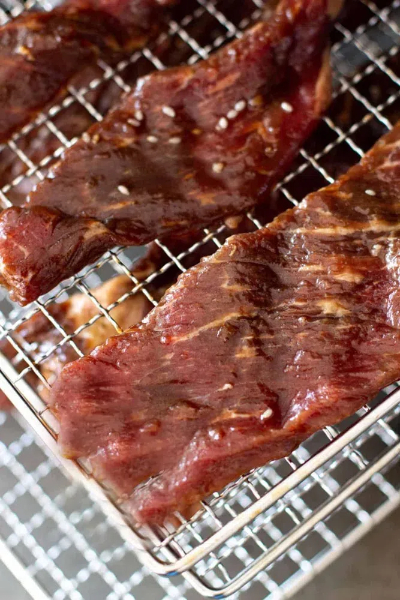 what is the best food dehydrator for beef jerky