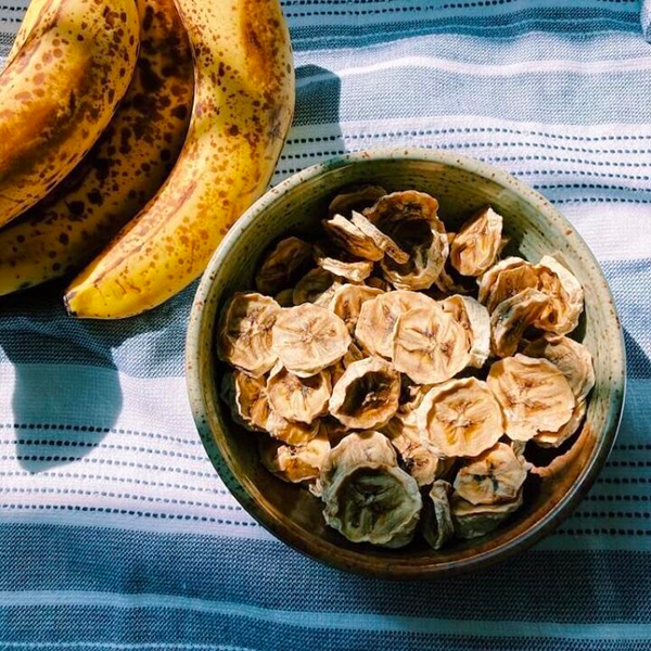 how to make banana chips in food dehydrator2