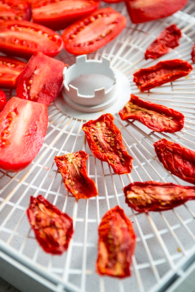what can you make with a food dehydrator1