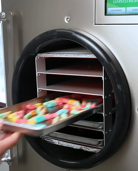 can you use a food dehydrator to freeze dry candy1