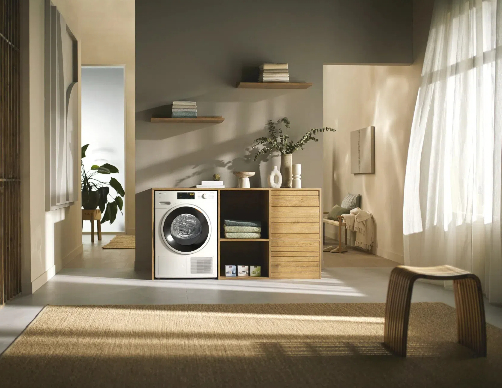 Are Heat Pump Dyers Better Than Gas Dryers?