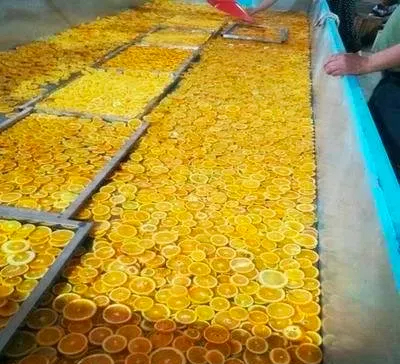 fruit dryer machine 3