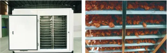Heat Pump Tumble Dryers Safe1