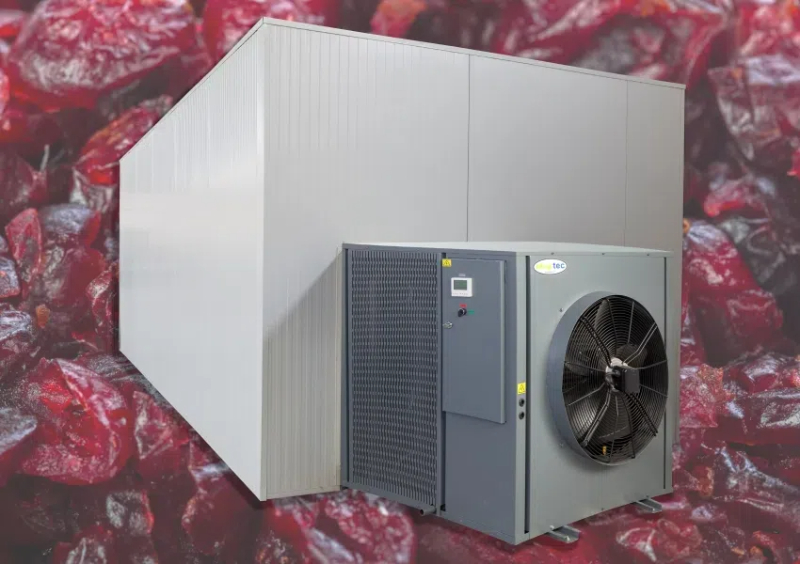 fruits dryer machine in ghana2
