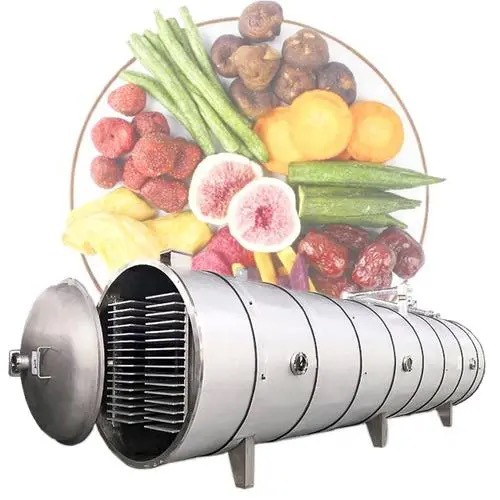 Explore Gourmet Recipes Using Your DIY Fruit Dryer Machine