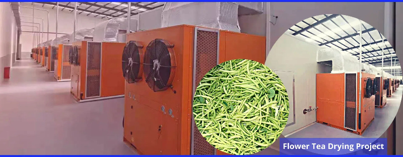 dryer machine fruit drying vegetable factory3