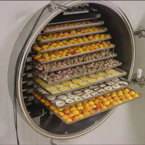 Freeze Dried Food Machines for Home Use in 2024