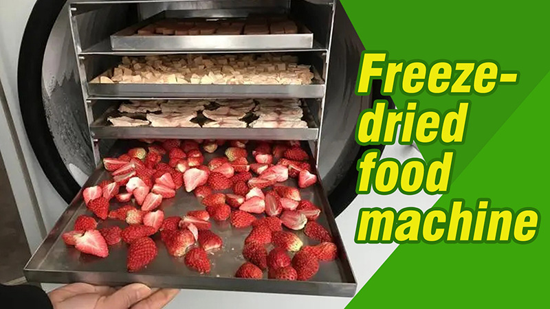 freeze dried food machine1