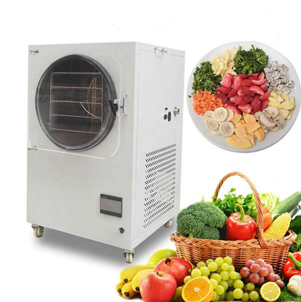 Choosing The Right Machine for Your Food Preservation Needs