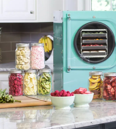 freeze dry food without a machine3
