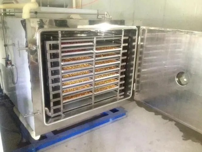 food drying machine3