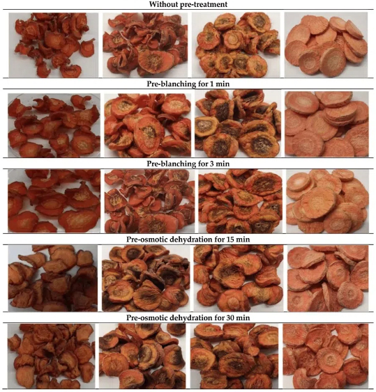 The Science Behind Penetration Type Drying Technology