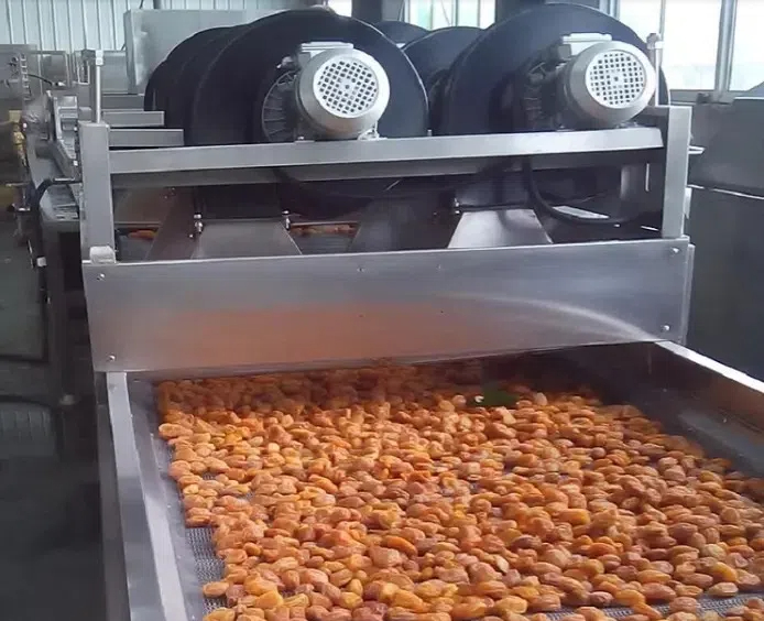 The Future of Drying: Hang Type Drying Machines Explained