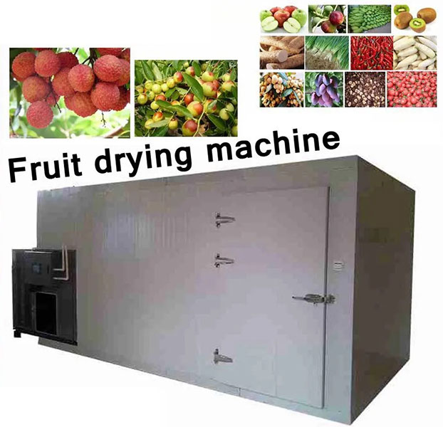 What Is The Price of A Dehydration Machine in Pakistan?