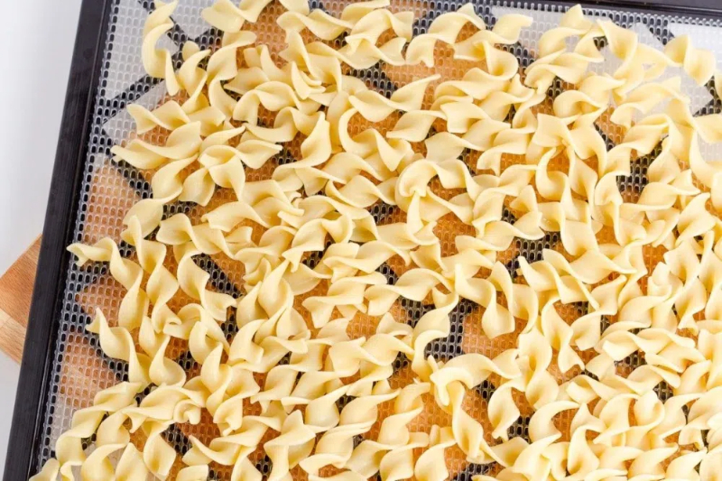 Can You Dry Fresh Egg Noodles in A Dehydrator?