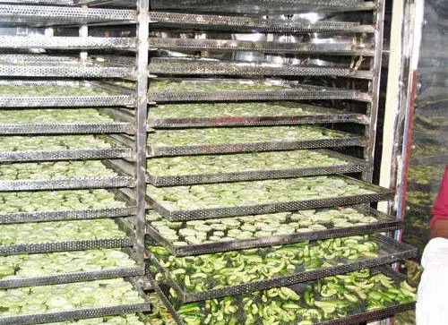 vegetable dehydration machine cost