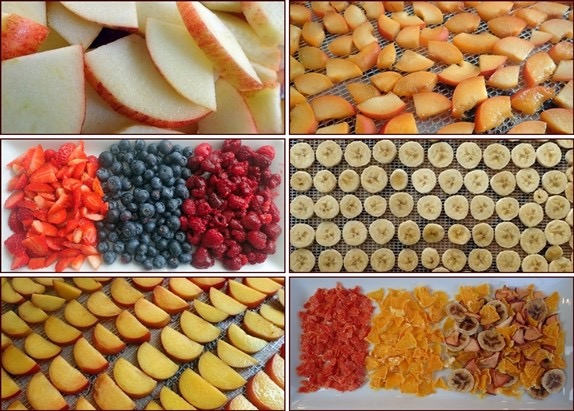 How Do You Use A Food Dehydrator To Dry Fruits And Vegetables?