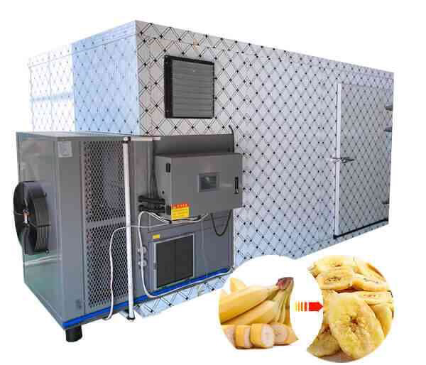 What Can I Make with A Food Dehydrator?