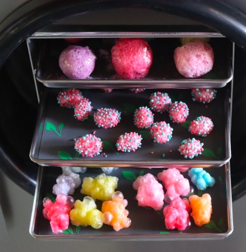 can you make freeze dried candy in a food dehydrator2