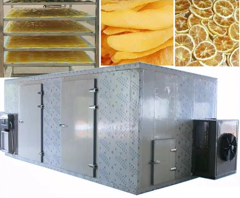 Is A Dual Inverter Heat Pump Dryer Better for Drying Foods?