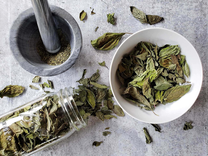 how long to dehydrate herbs in food dehydrator3