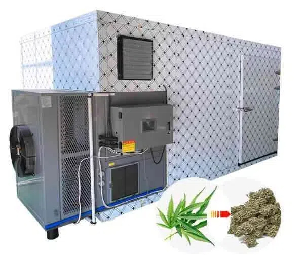 How To Use Food Dehydrator Machine?