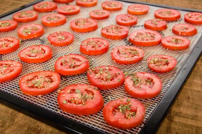What Can You Put in A Food Dehydrator?