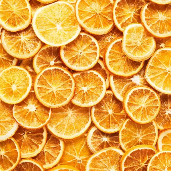 What Is The Use of Food Dehydrator?